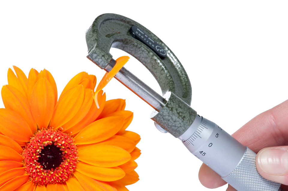 Rakon_2010-11-06_0504